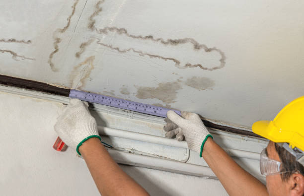 Reliable Flood Cleanup contractor in Saint Louis, MI by Water Damage Irwin